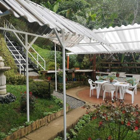 Bosque De Niebla Birding & Nature Cali Εξωτερικό φωτογραφία