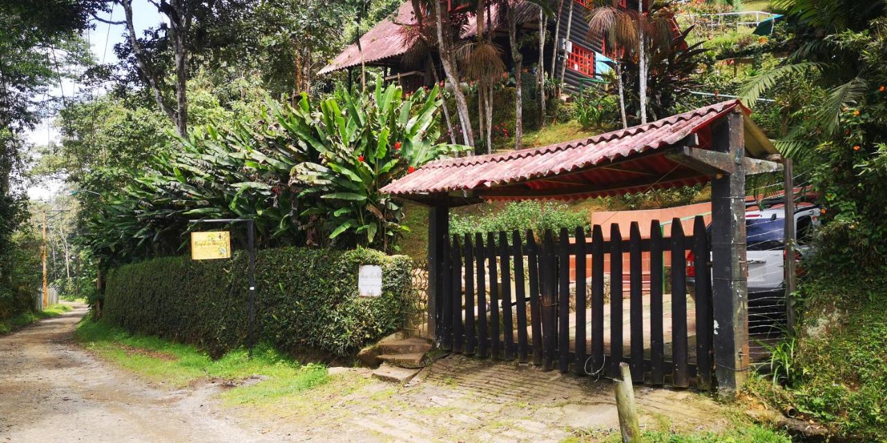Bosque De Niebla Birding & Nature Cali Εξωτερικό φωτογραφία