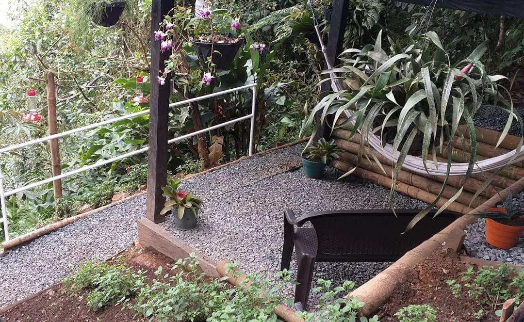 Bosque De Niebla Birding & Nature Cali Εξωτερικό φωτογραφία