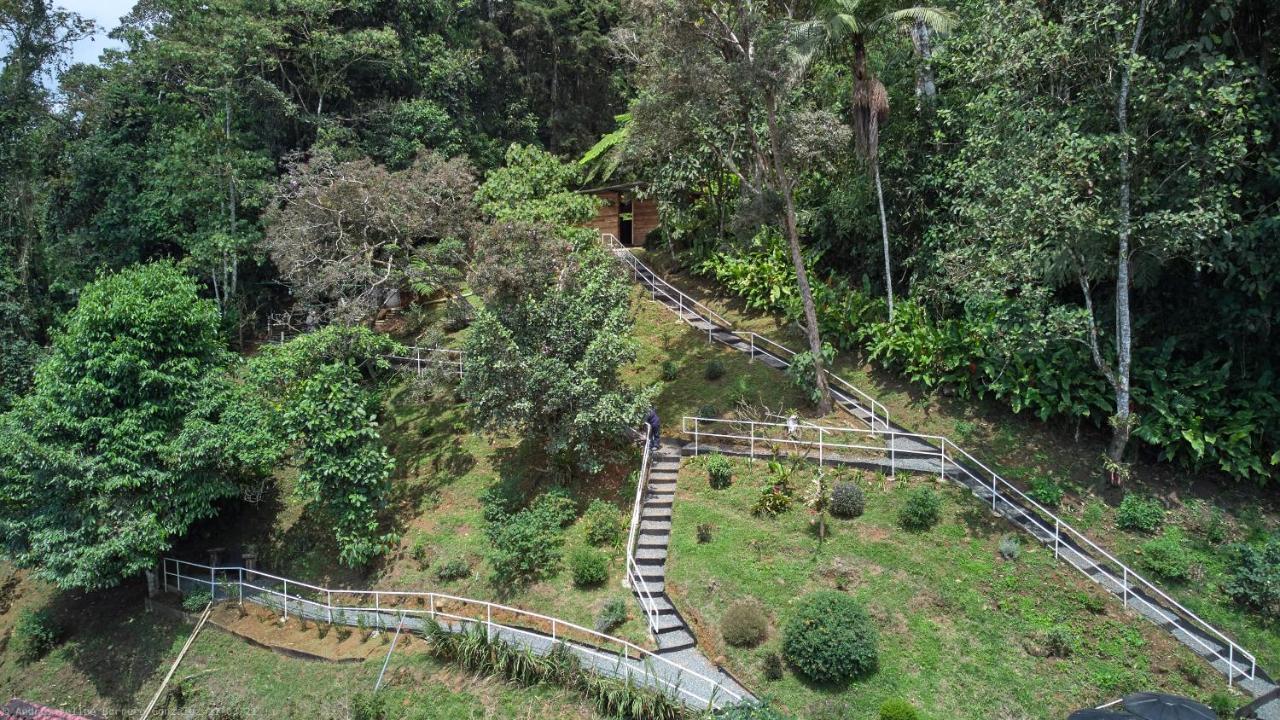 Bosque De Niebla Birding & Nature Cali Εξωτερικό φωτογραφία