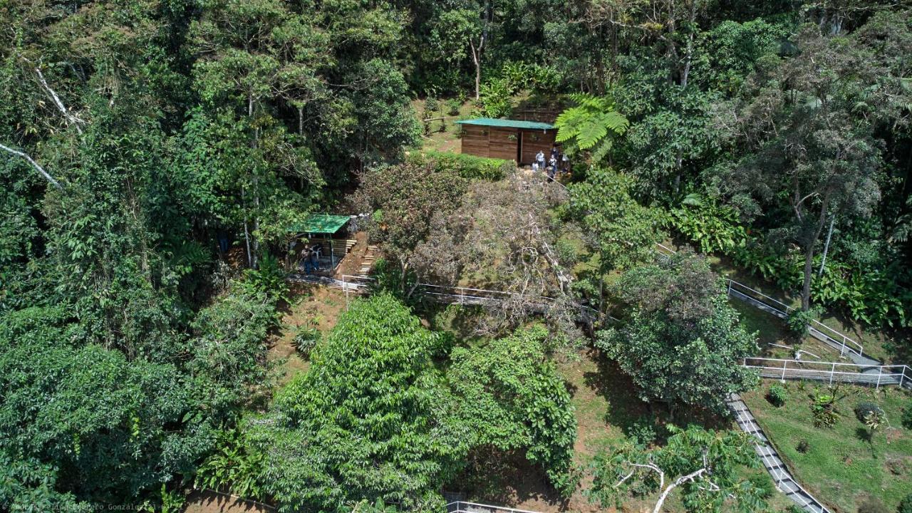 Bosque De Niebla Birding & Nature Cali Εξωτερικό φωτογραφία