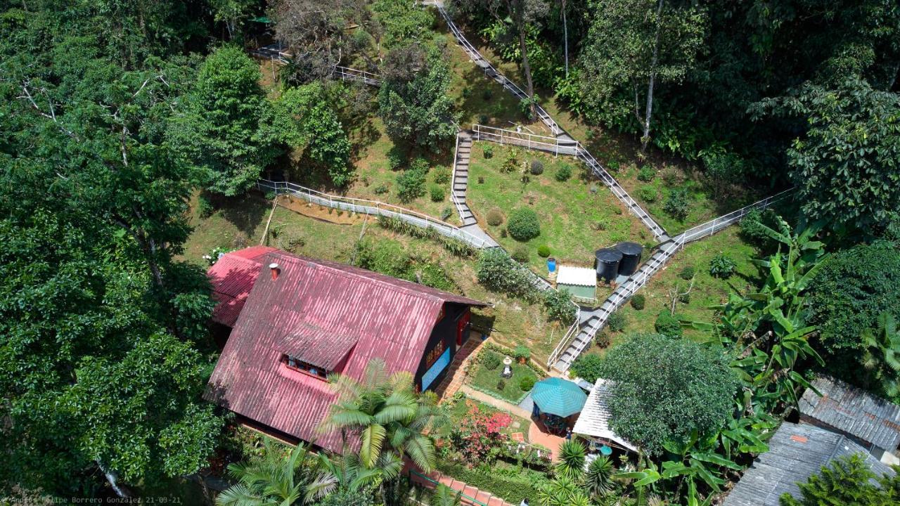 Bosque De Niebla Birding & Nature Cali Εξωτερικό φωτογραφία
