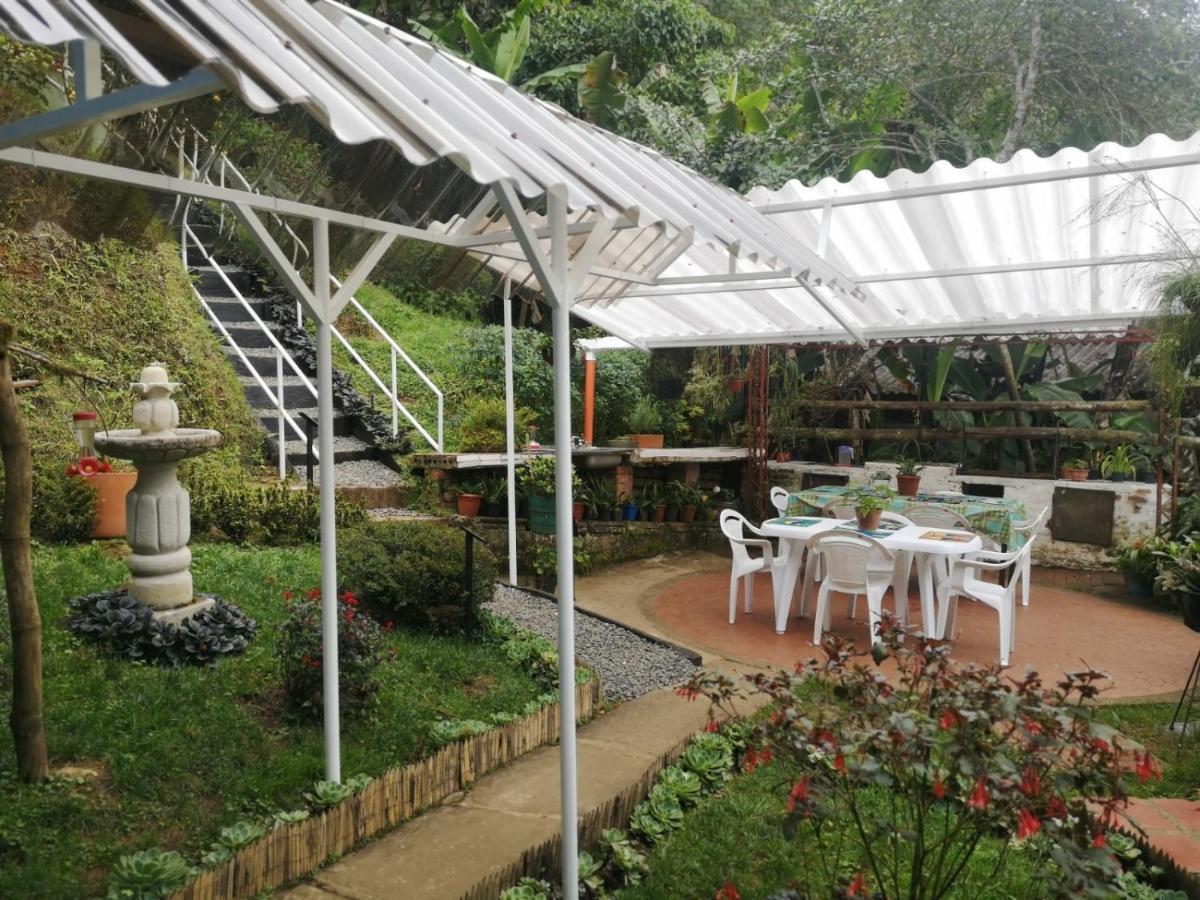 Bosque De Niebla Birding & Nature Cali Εξωτερικό φωτογραφία