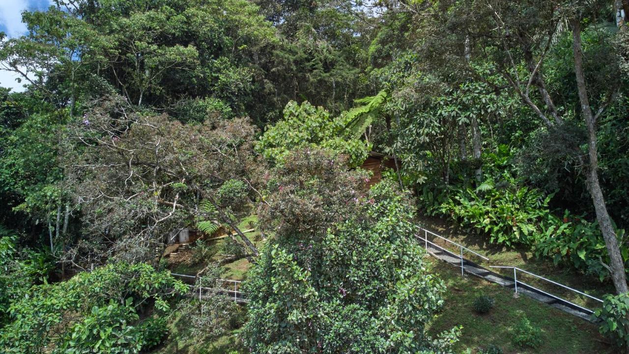 Bosque De Niebla Birding & Nature Cali Εξωτερικό φωτογραφία